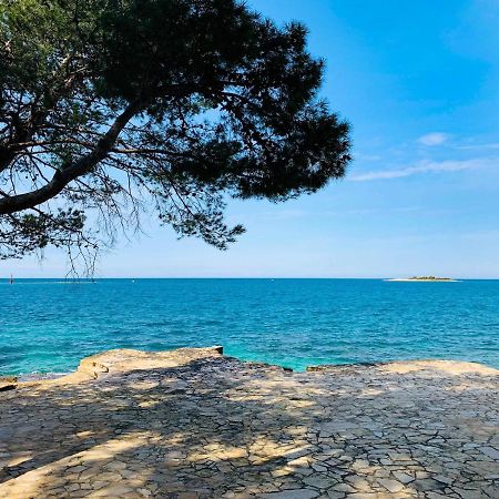 Appartamento App Fiorela Porec Esterno foto