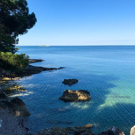 App Fiorela Porec Esterno foto